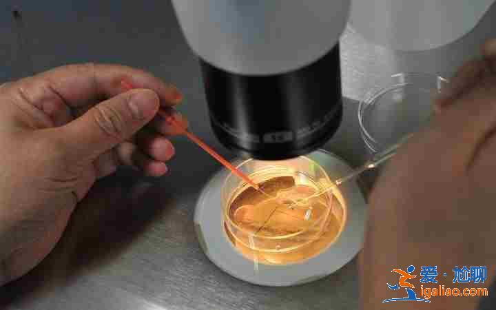 代媽的價(jià)位,(誠信服務(wù))-? 代媽的價(jià)位,(誠信服務(wù))-?