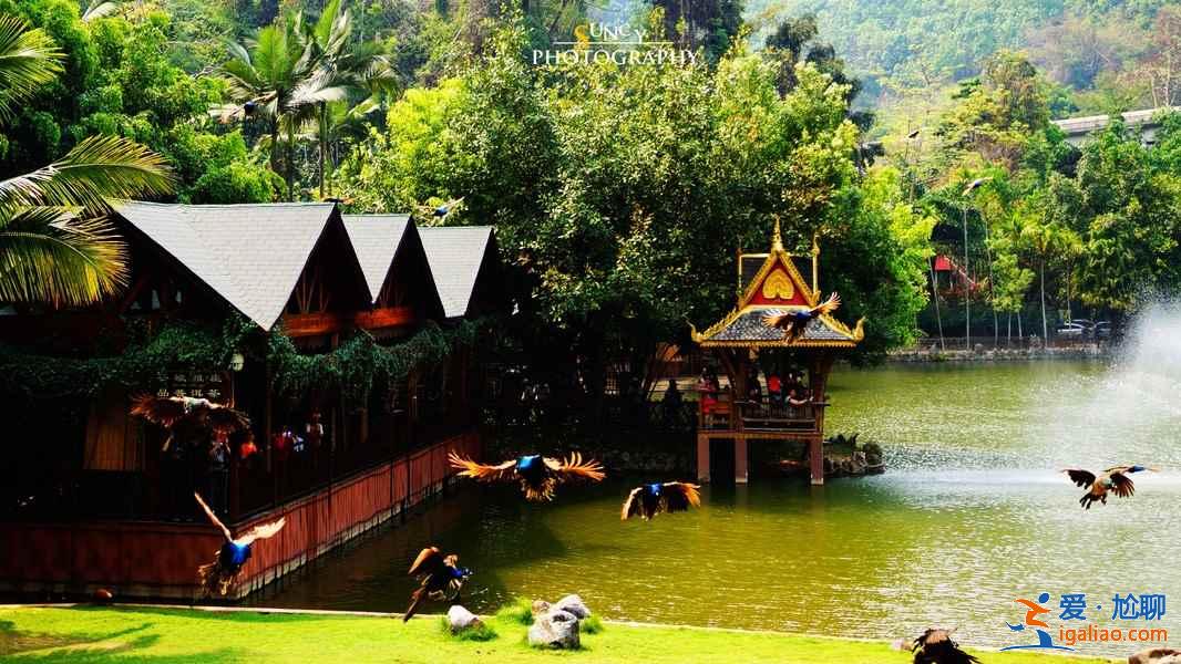 西雙版納有哪些風(fēng)景區(qū)，西雙版納必游景點有哪些？