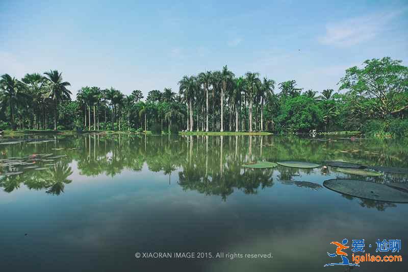 西雙版納有哪些風(fēng)景區(qū)，西雙版納必游景點有哪些？