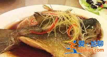 鱸魚是發物嗎？？