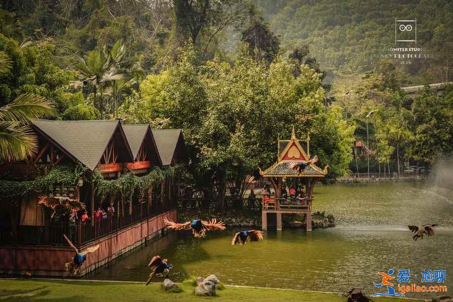 西雙版納自駕游路線,西雙版納自駕游經典線路,西雙版納自駕游攻略? 西雙版納自駕游路線,西雙版納自駕游經典線路,西雙版納自駕游攻略?