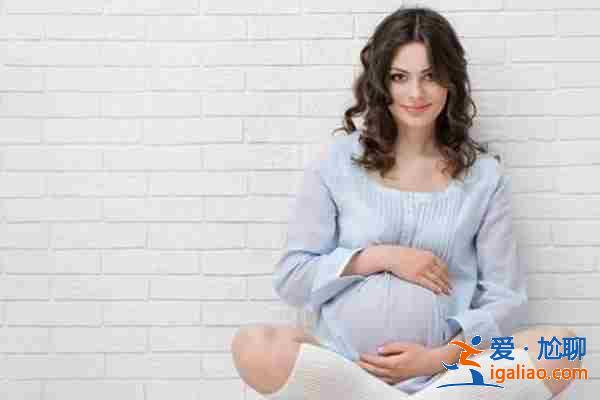 2019代媽中心_愛心助孕？