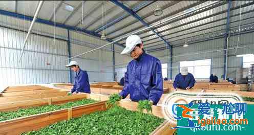 技校都有什么專業(yè)？