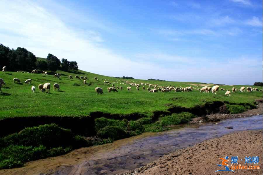 內蒙古自駕游經典線路，內蒙古自駕游路線圖，內蒙古夏季自駕線路？