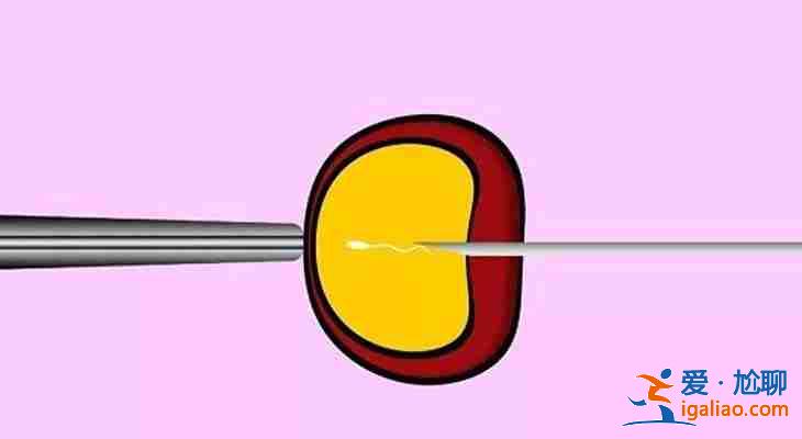 解說一下濟南試管代生男孩「100%包成功」？