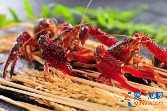 清蒸小龍蝦的做法竅門? 清蒸小龍蝦的做法竅門?