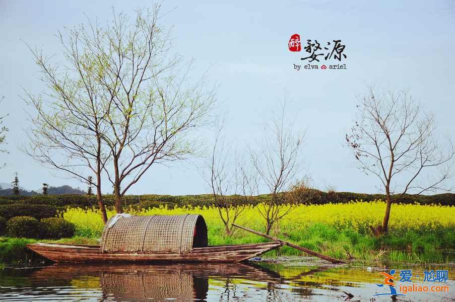 婺源月亮灣景區,婺源月亮灣要門票嗎? 婺源月亮灣景區,婺源月亮灣要門票嗎?