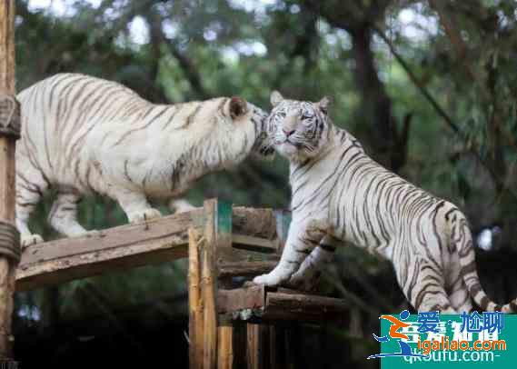 廣州最值得去的地方有哪些景點? 廣州最值得去的地方有哪些景點?