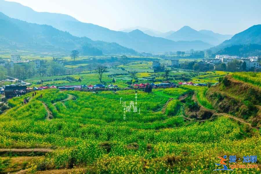 婺源江嶺旅游攻略，婺源江嶺怎么玩，婺源江嶺開放時間？