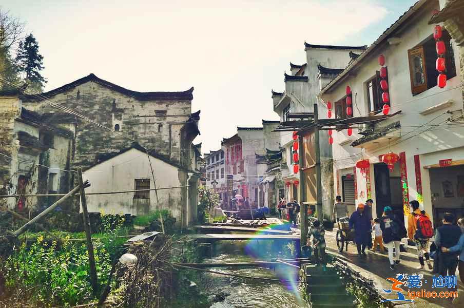什么時候去婺源旅游最合適，去婺源的最佳時間？