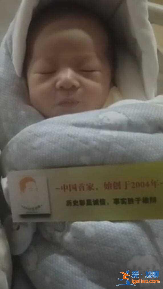 解讀沈陽代包生男孩,直營品牌？