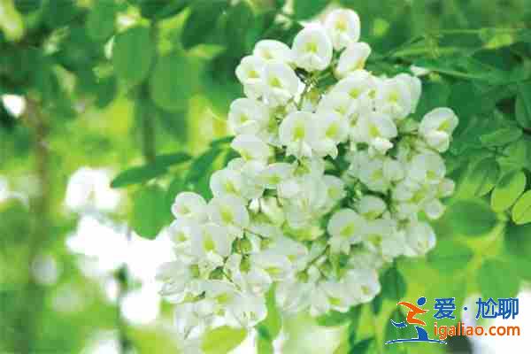 成都代懷孩子（10天圓夢）？