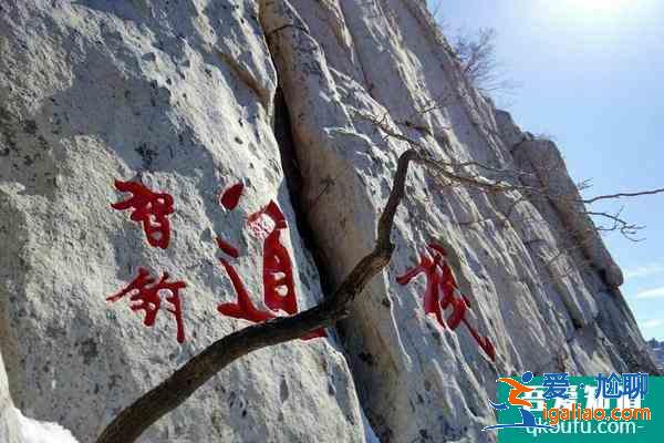 1月5日起嵩山景區(qū)宗教場所關(guān)閉,少林景區(qū)門票半價(jià)？