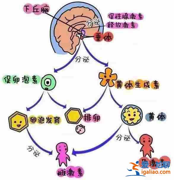 我想替別人代生小孩_這幾家醫院勸你不要去了？