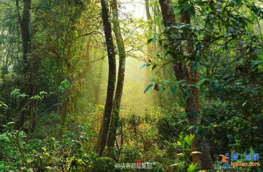 去尼泊爾旅游多少錢，尼泊爾自由行多少錢，尼泊爾旅游費(fèi)用是多少？
