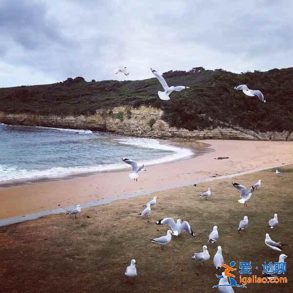 什么時候去澳大利亞最好，澳大利亞最佳旅游時間？