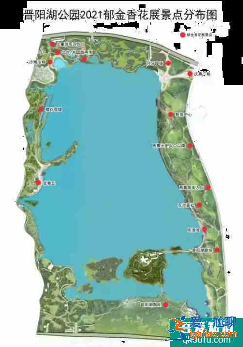 2021晉陽(yáng)湖公園郁金香花展時(shí)間及展區(qū)信息？