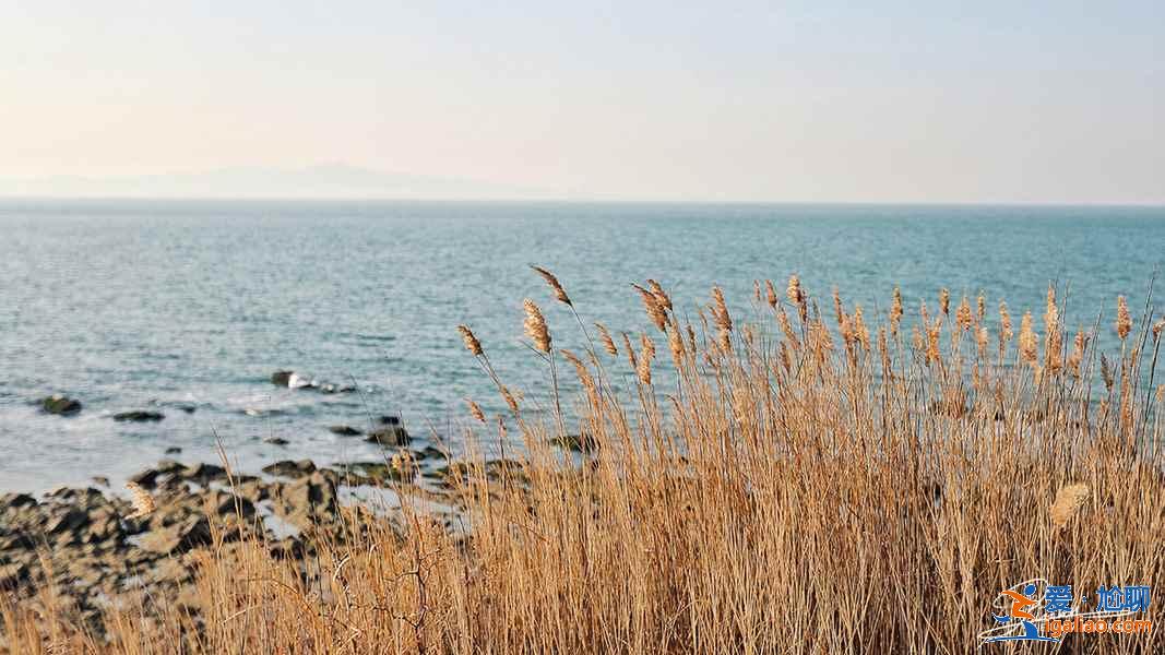 去煙臺養馬島坐幾路車，煙臺養馬島交通信息？