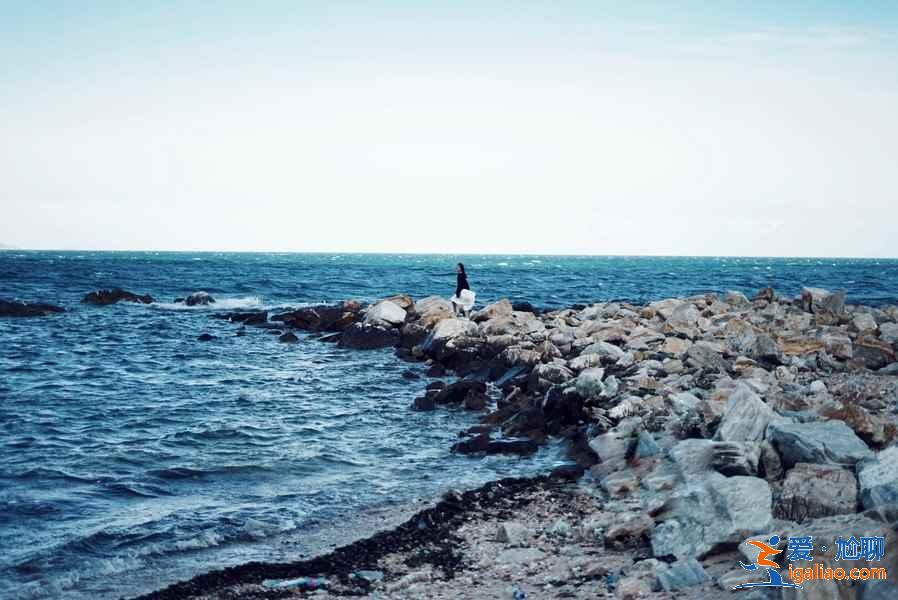 去煙臺養馬島坐幾路車，煙臺養馬島交通信息？