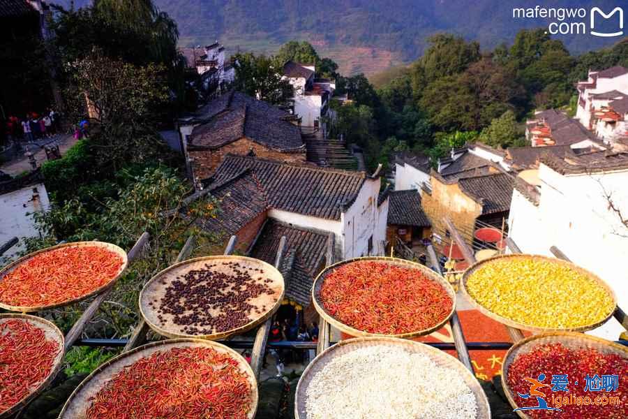 婺源值得去的景點,去婺源旅游必去的地方,婺源景點排名? 婺源值得去的景點,去婺源旅游必去的地方,婺源景點排名?