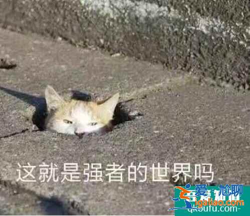云頂之弈11.10版本最強喪尸法陣容推薦，云頂11.10強勢陣容攻略？