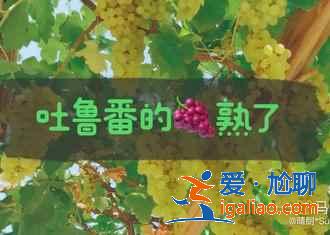 切糕，還算不上新疆美食，這些才是！？