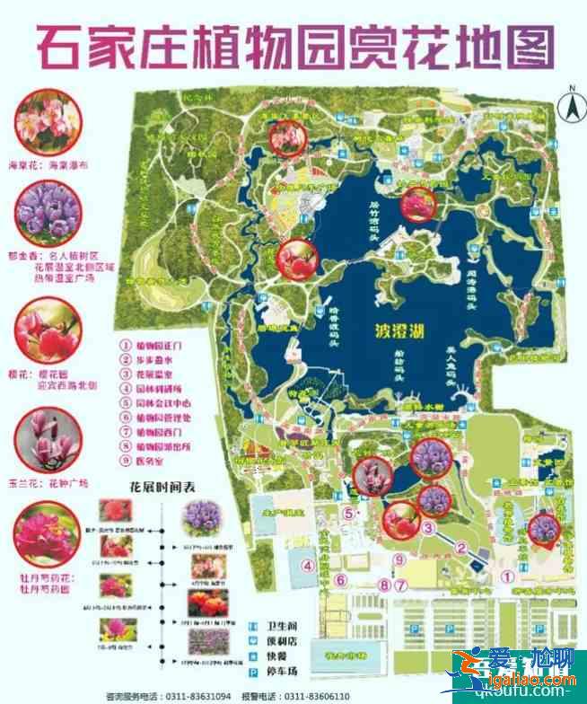 2021石家莊植物園郁金香什么時(shí)候開花？
