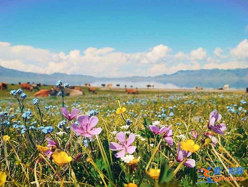 新疆旅游注意事項,去新疆旅游要注意什么? 新疆旅游注意事項,去新疆旅游要注意什么?