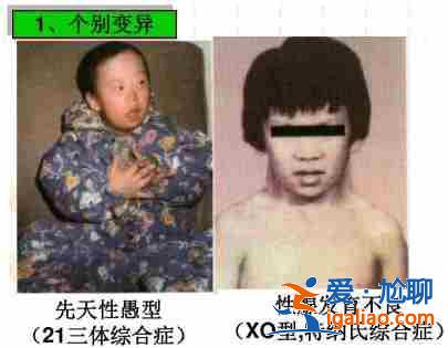 武漢助孕生兒子,還您一個完整而幸福的美滿家庭？