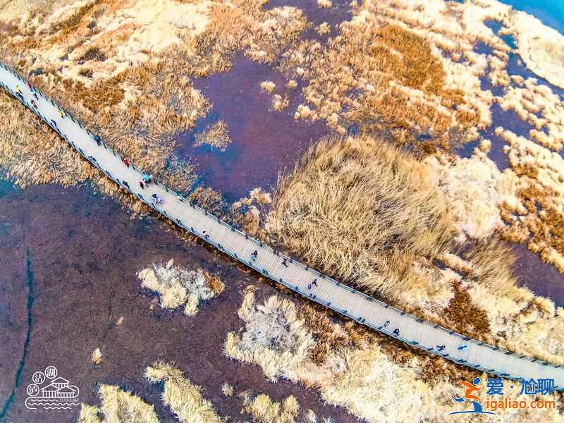 瀘沽湖走婚橋:看見美景,收獲愛情? 瀘沽湖走婚橋:看見美景,收獲愛情?