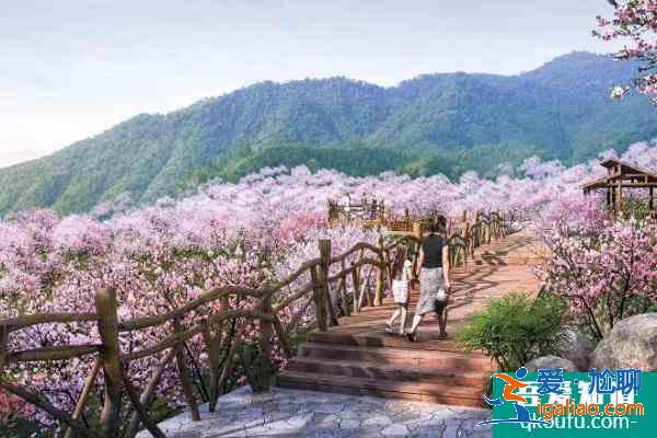 湖州有哪些景點好玩 2021湖州旅游景點推薦？