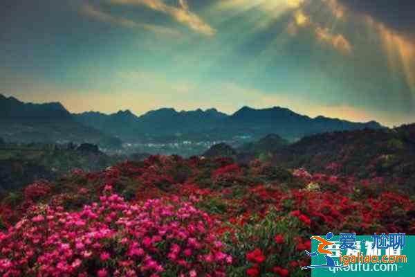 貴州有哪些旅游景點比較好玩? 貴州有哪些旅游景點比較好玩?