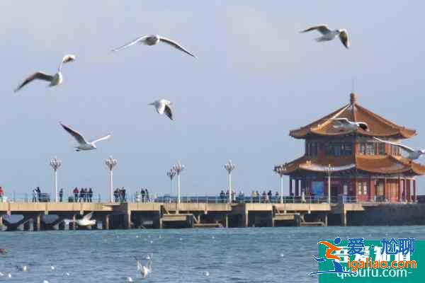 2021青島棧橋五一開(kāi)放嗎？