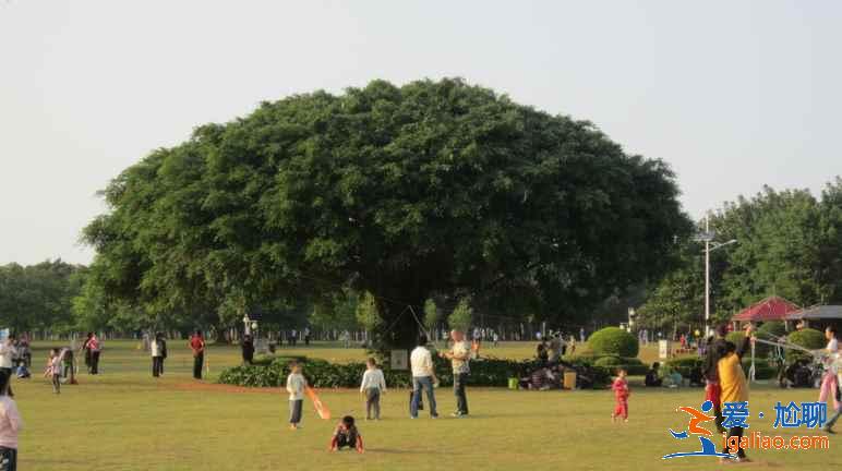 海口旅游6大體驗(yàn),做一天海口人!? 海口旅游6大體驗(yàn),做一天海口人!?