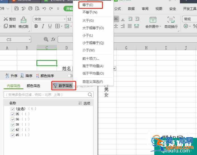 如何在excel中快速的進(jìn)行篩選？