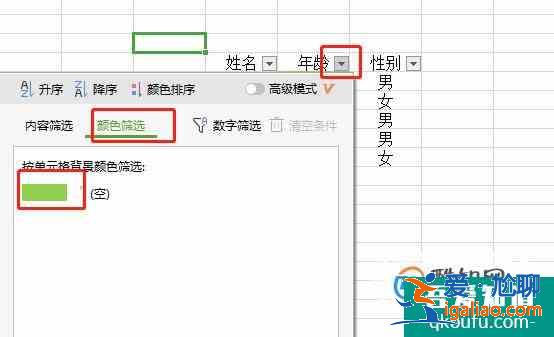 如何在excel中快速的進(jìn)行篩選？