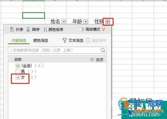 如何在excel中快速的進(jìn)行篩選？