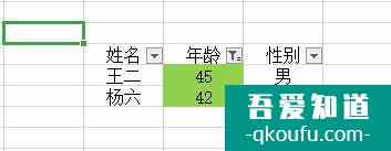 如何在excel中快速的進(jìn)行篩選？
