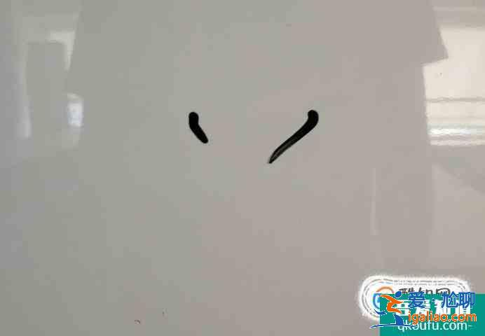 火字的筆順？