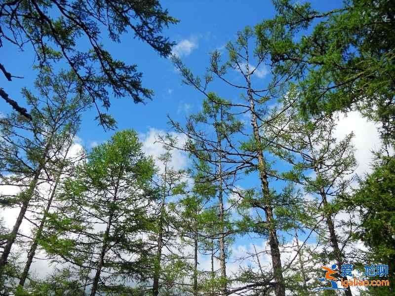 長白山夏天好玩嗎,長白山夏天美嗎,夏季去長白山玩什么? 長白山夏天好玩嗎,長白山夏天美嗎,夏季去長白山玩什么?