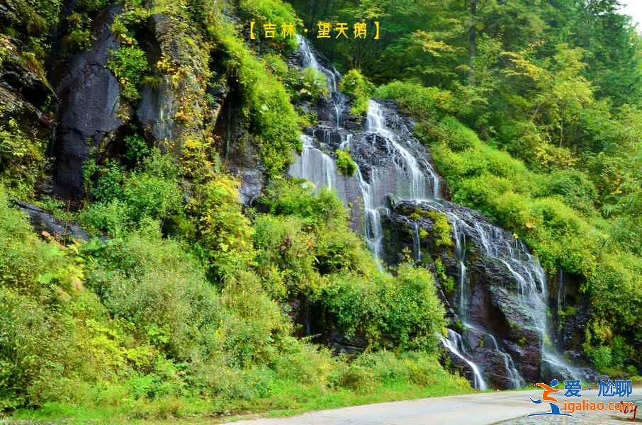 長白山夏天好玩嗎,長白山夏天美嗎,夏季去長白山玩什么? 長白山夏天好玩嗎,長白山夏天美嗎,夏季去長白山玩什么?