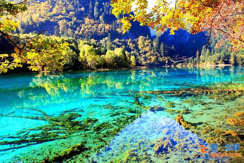 夏天去九寨溝好嗎，夏天去九寨溝穿什么？？