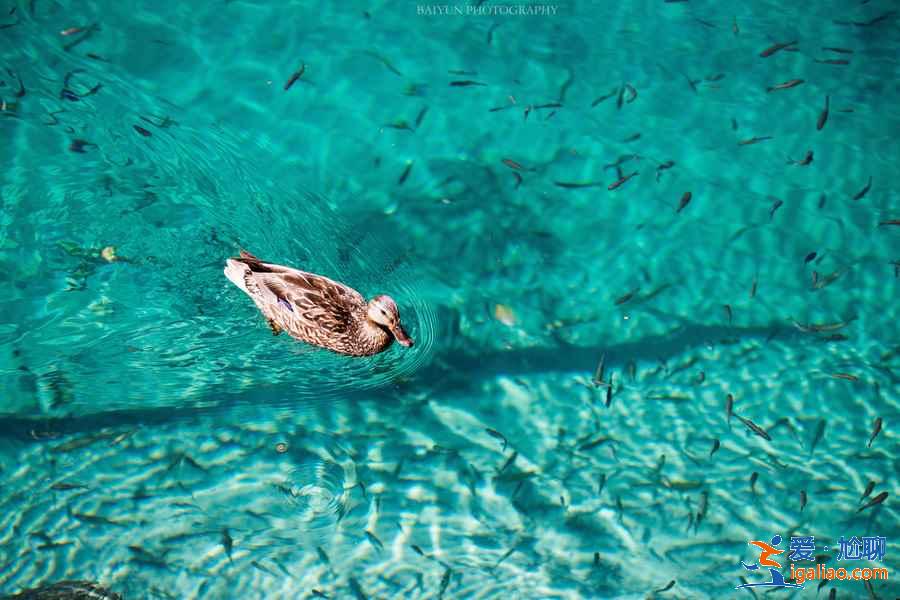 夏天去九寨溝好嗎，夏天去九寨溝穿什么？？