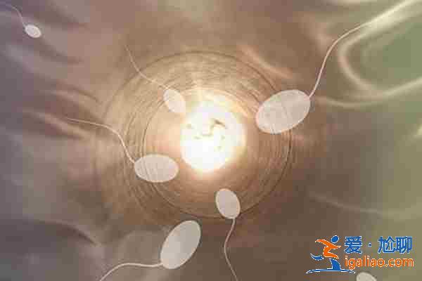 夫妻正常做試管男孩多少錢-同性試管? 夫妻正常做試管男孩多少錢-同性試管?