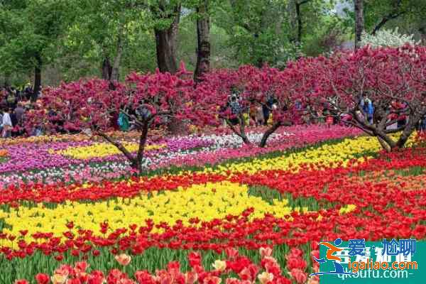 2021年4月16日漢中植物園開園試運營？