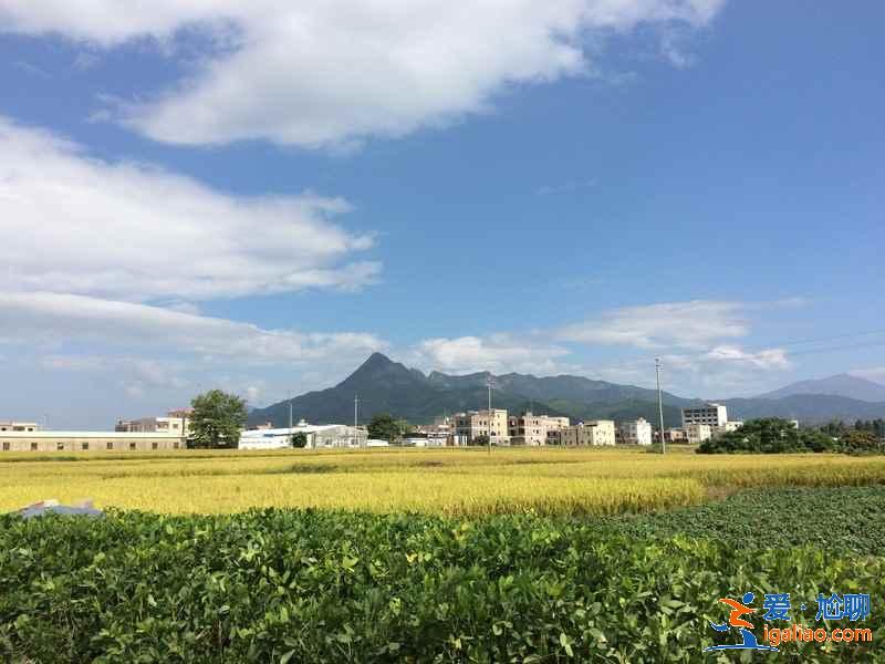 惠州有個小漁村,是廣東十大最美古村落之一? 惠州有個小漁村,是廣東十大最美古村落之一?