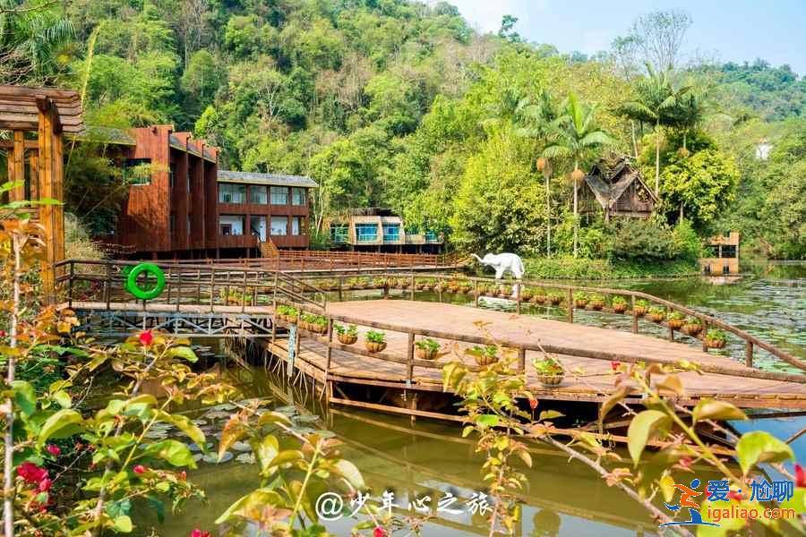 西雙版納一定要去的景點(diǎn),西雙版納景點(diǎn)排行榜,西雙版納景點(diǎn)前五名? 西雙版納一定要去的景點(diǎn),西雙版納景點(diǎn)排行榜,西雙版納景點(diǎn)前五名?