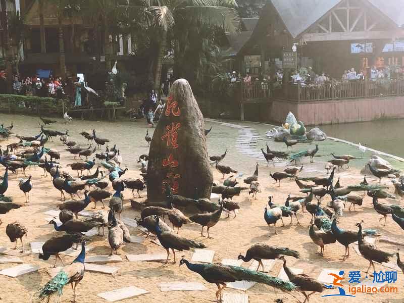 西雙版納一定要去的景點(diǎn),西雙版納景點(diǎn)排行榜,西雙版納景點(diǎn)前五名? 西雙版納一定要去的景點(diǎn),西雙版納景點(diǎn)排行榜,西雙版納景點(diǎn)前五名?