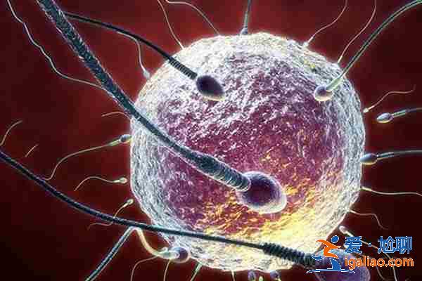 長沙助孕產子價格-海外助孕是什么意思選生殖中心放心? 長沙助孕產子價格-海外助孕是什么意思選生殖中心放心?