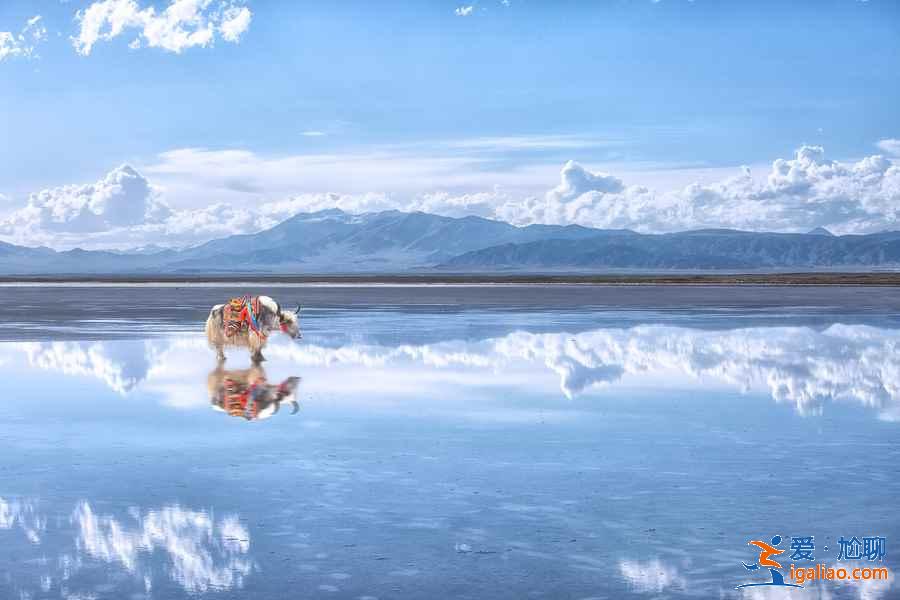 去青海有哪些不可錯過的景點？？